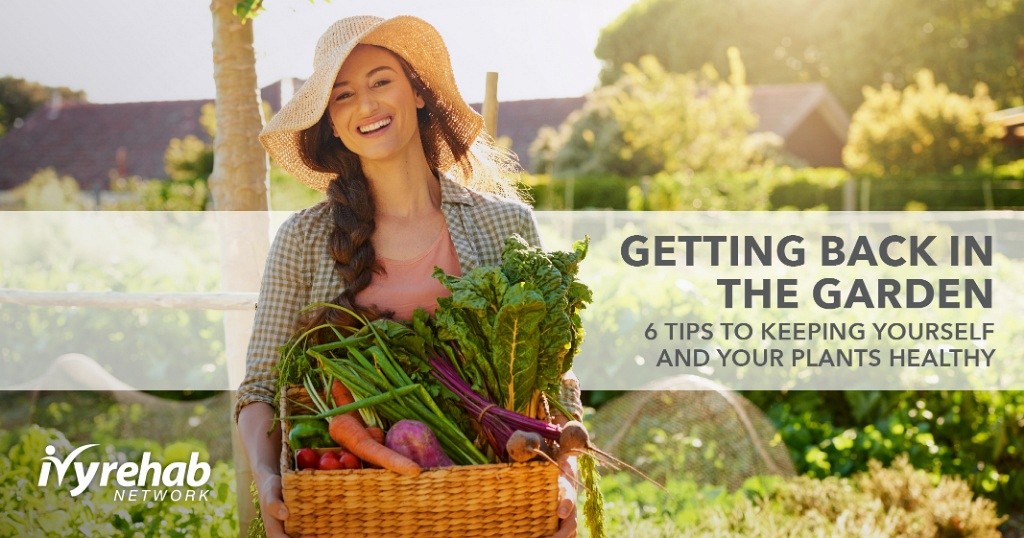 Tips for gardening to keep you and your plants healthy