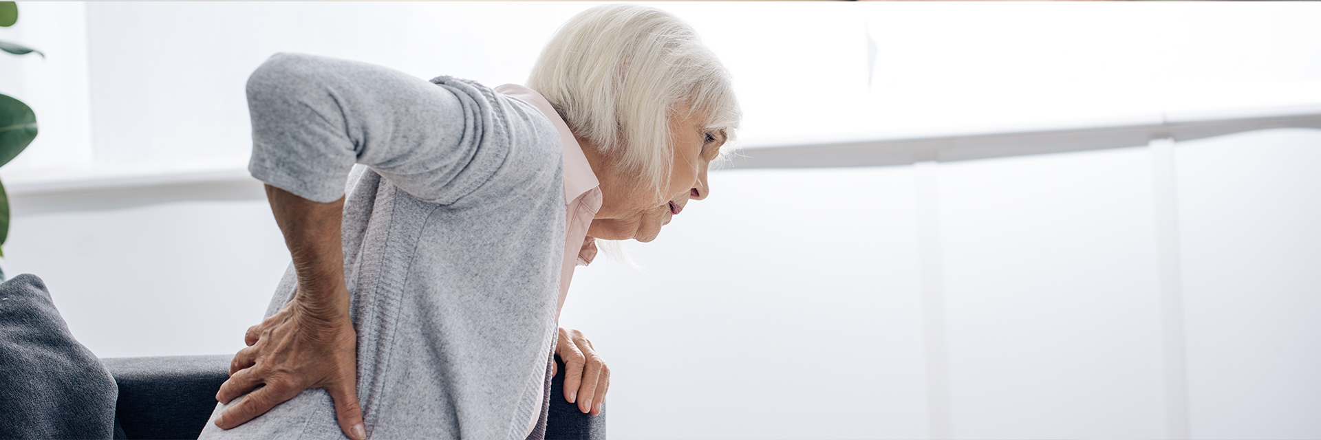 Chronic Pain Ivy Rehab chronic-pain-ivy-rehab