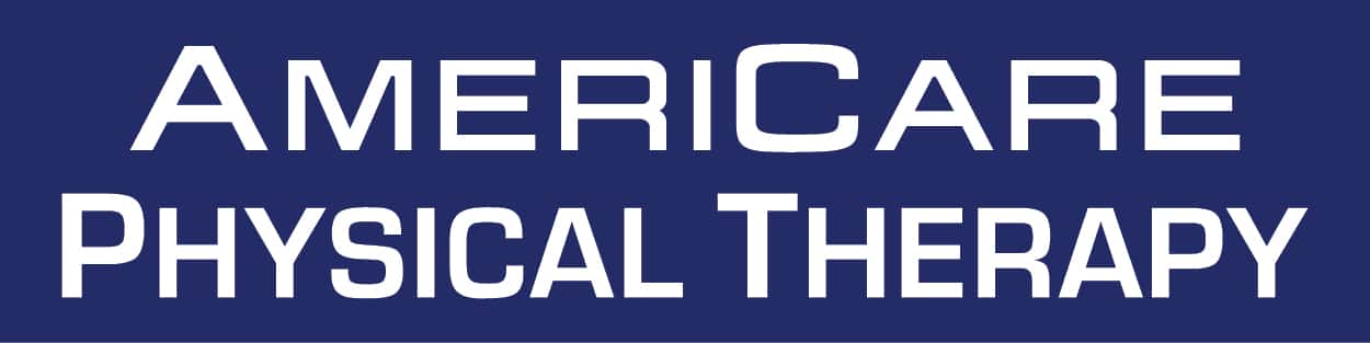 AmeriCare logo - text